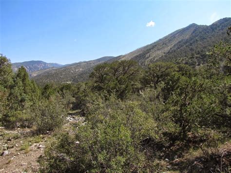 Zapata Falls - GO HIKE COLORADO