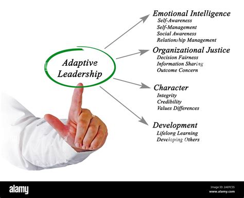 Adaptive Leader Development Cut Out Stock Images And Pictures Alamy