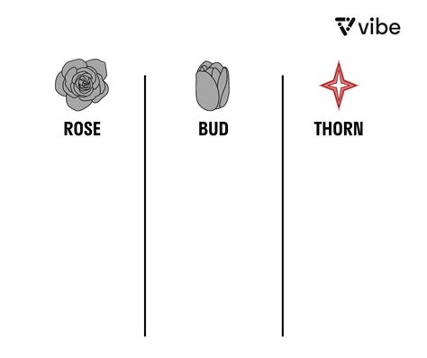 Guide to the Rose, Bud, Thorn Exercise | Vibe