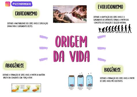 Origem Da Vida Em Mapa Mental Planejador De Estudo Atividades