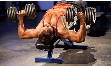 Os melhores exercícios para cada grupo muscular segundo a ciência