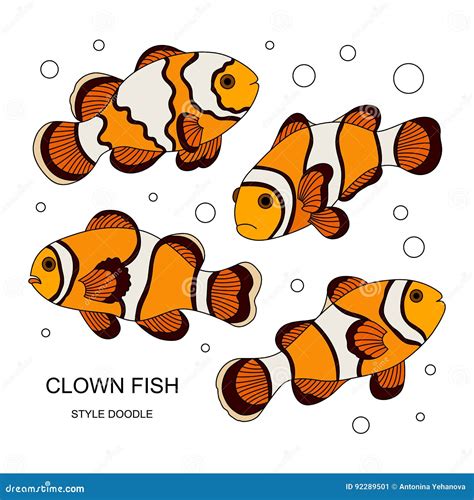 Clown Fish Stock Vector Illustration Of Saltwater Funny 92289501