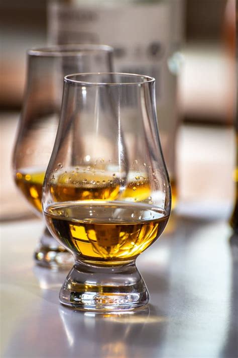 Tasting Of Whiskey Tulip Shaped Tasting Glasses With Dram Of Scotch