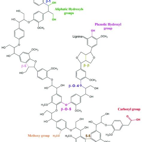 Lignin Chemical Structure Representation Adapted From Crestini Et Al