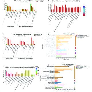 Functional Classification Of DEPs A GO Annotation Of Intracellular