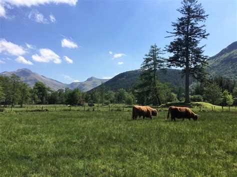 Camping Pods — Glen Nevis Holidays