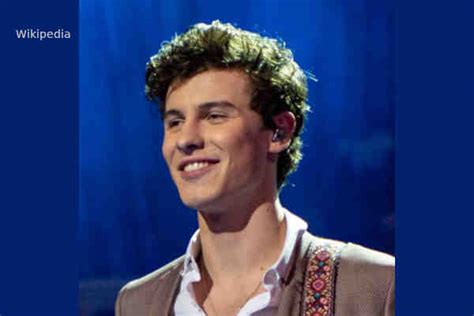 Shawn Mendes Says He S Felt Pressure To Prove He S Not Gay On Top Magazine Lgbt News