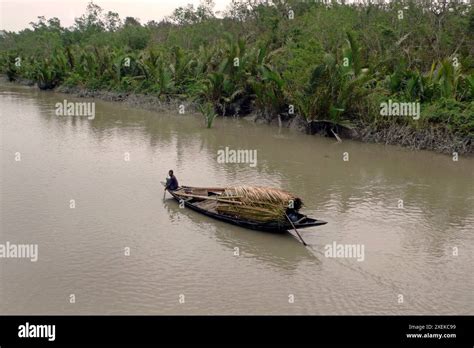 Bangladesh sundarbans hi-res stock photography and images - Alamy