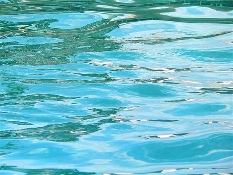 Common Swimming Pool Myths Myths About Swimming Pools