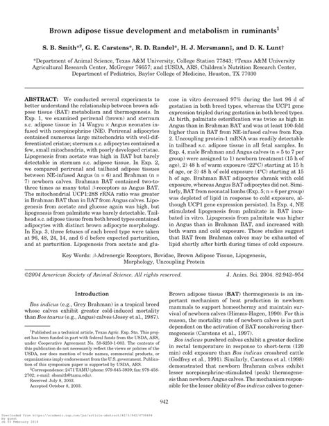 Pdf Brown Adipose Tissue Development And Metabolism In Ruminants