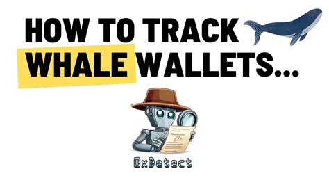 How To Track Eth Whale Wallets Using Xdetect Cmc Coingecko