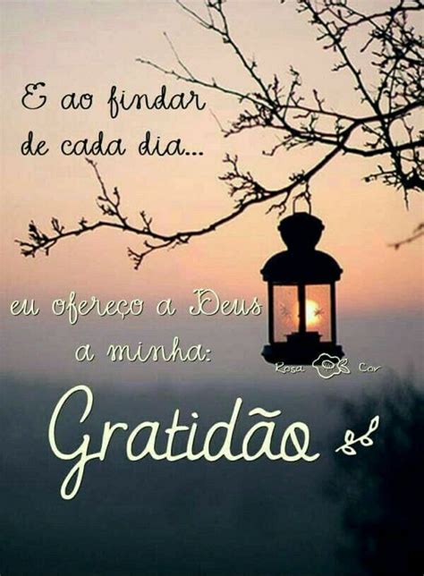 Boa Noite Msg De Gratidao Gratid O Frases Frases De Carinho