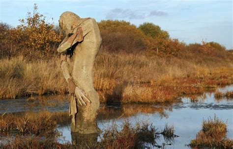 Sculptures In Nature | Others