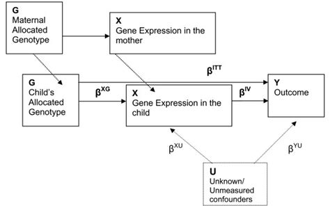 Three Important Assumptions In Mendelian Randomization Are A And B