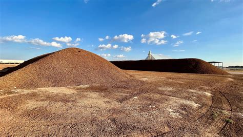 Levelland residents hope red flour beetle infestation abated soon