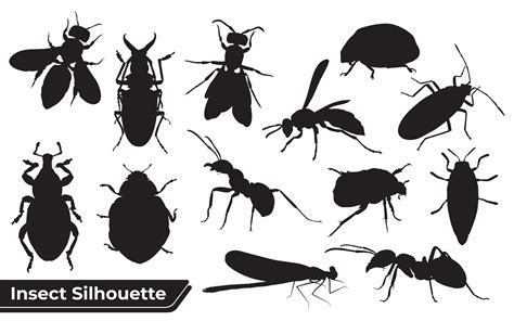 Flat Insect Silhouettes Collection Graphic By Adopik · Creative Fabrica