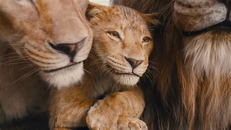 Mufasa Il Re Leone Le Prime Recensioni Promosso O Bocciato