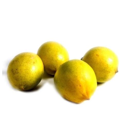 Jual JERUK LEMON LOKAL KUNING SUPER SAYURAN SEGAR MURAH HARGA PER KG ...