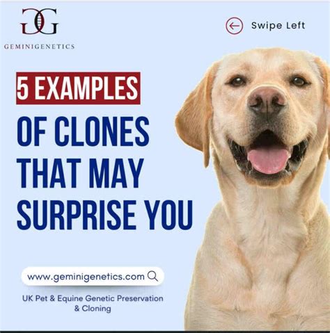 Cloning In Nature Gemini Genetics