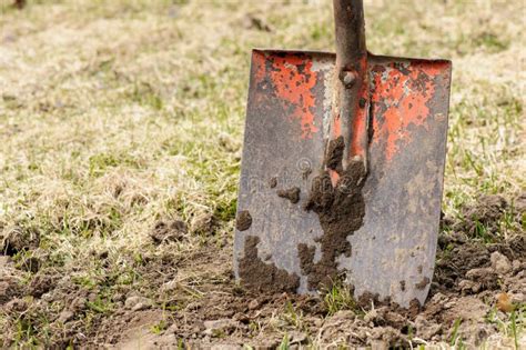 784 Old Rusty Spade Stock Photos Free And Royalty Free Stock Photos