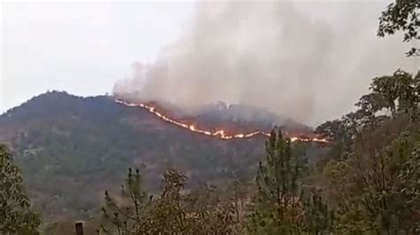 Probosque Y Rel Mpagos Combaten Incendio Forestal En La Sierra De