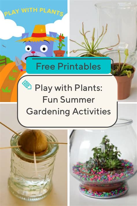 Play With Plants Using These Fun Summer Gardening Activities Spend