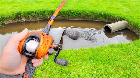 This Small Pond Is Loaded W Giant Bass Youtube