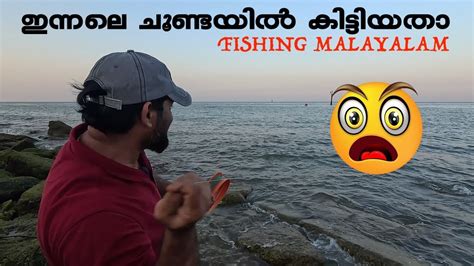 ഇവിടെ മീനിന്റെ ചാകരയാ 😳 Fishing Malayalam Fishing Video Mallus