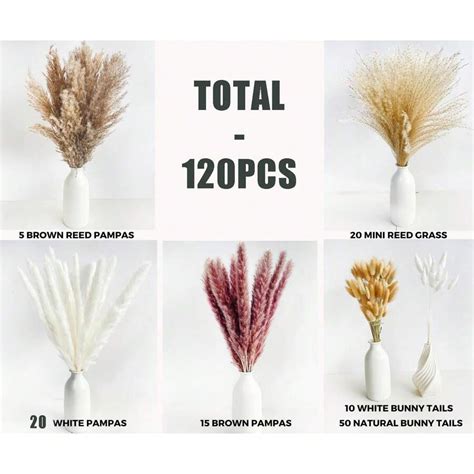 120pcs Set Of Natural Dried Pampas Grass Including 20pcs White Pampas Grass 16 5 Inch Pampas