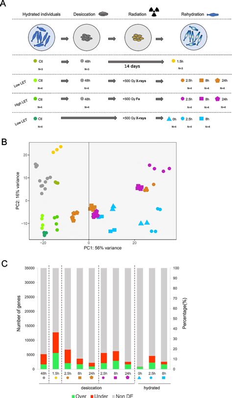 Design Of The Comparative Transcriptomic Approach And Responses A