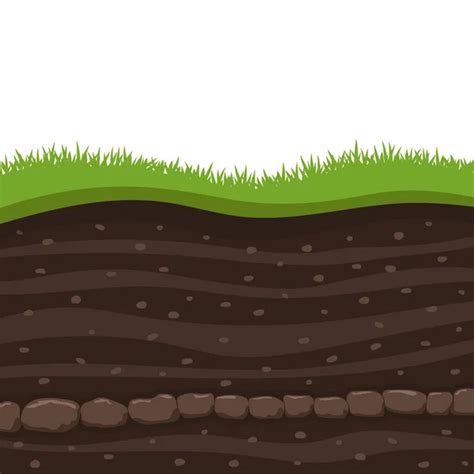 Soil Profile Vector Images Depositphotos