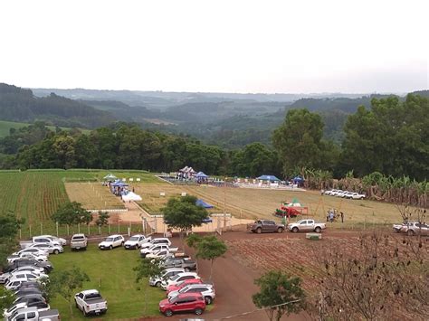 Cooperativa Regional Itaipu Dia De Campo Trigo