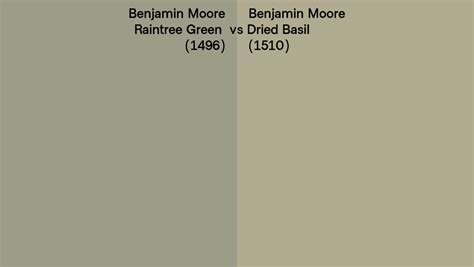 Benjamin Moore Raintree Green Vs Dried Basil Side By Side Comparison