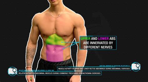 The Best Ab Workout For Six Pack Abs Based On Science