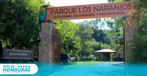 Los Naranjos Un Parque Eco Arqueol Gico De Los M S Antiguos De