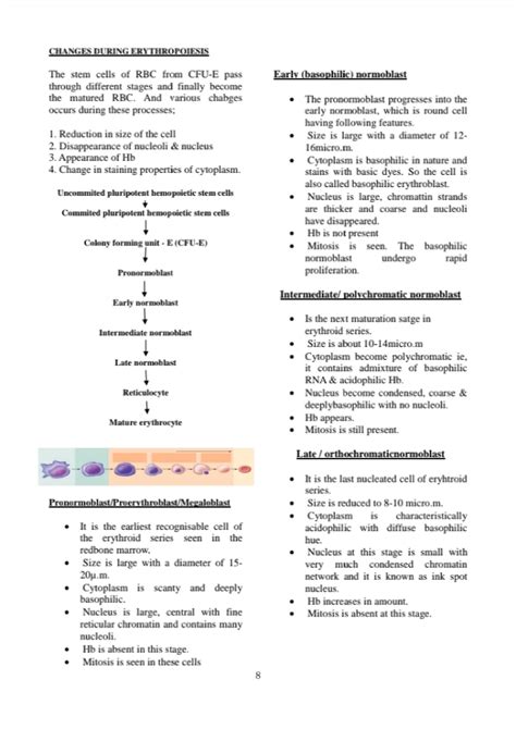 9 Function Of Rbc Biochemistry Studocu