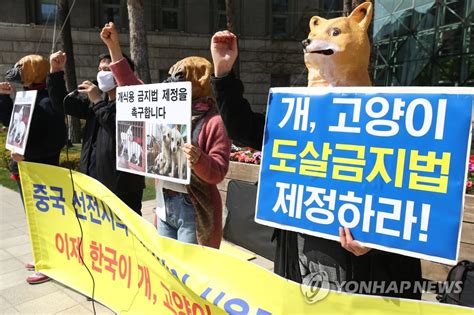 개 고양이 도살금지법 제정 촉구 연합뉴스