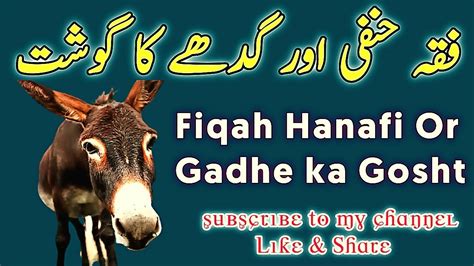 Gadhe Ka Gosht Kiya Fiqh Hanfi Men Gadha Ka Gosht Khana Jayez Hai