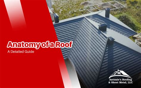 Anatomy Of A Roof Exploring Its Structure And Components