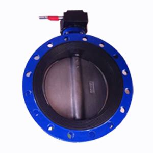 Di Flanged Butterfly Valve Dn Pn Win Valve