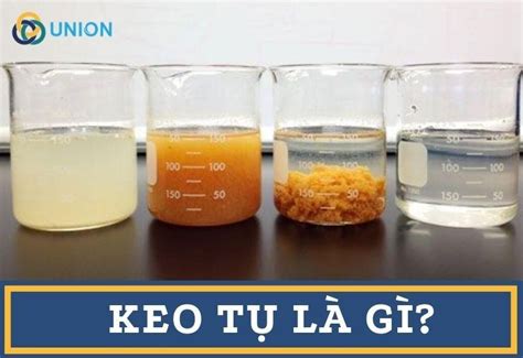 Keo tụ tạo bông là gì Quá trình keo tụ trong xử lý nước EU Vietnam