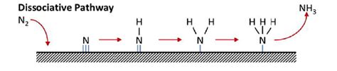 Balanced Chemical Equation Synthesis Of Ammonia Tessshebaylo