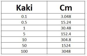 Kaki Berapa Meter Dan Meter Berapa Kaki