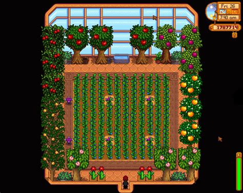 Stardew Valley