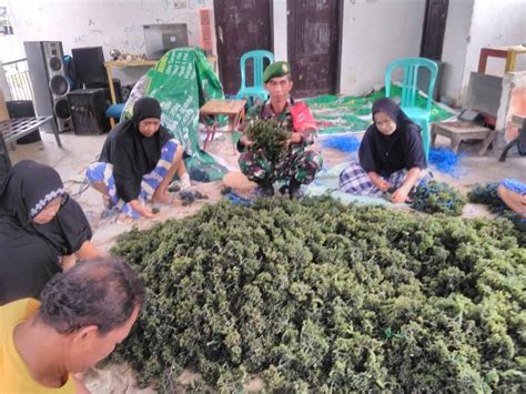 Kodim Sinjai Sukseskan Ketahanan Pangan Budidaya Rumput Laut Di