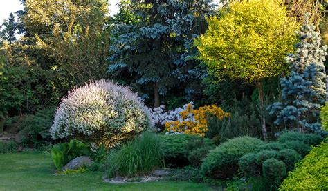 Sublimez Votre Jardin Avec Ces Arbustes Parfum S Persistants Ma