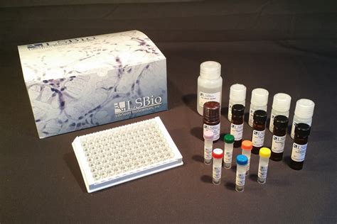 Human Atf1 Quant Elisa Kit Dna Binding Lsbio