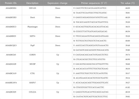 Frontiers Morphological Change And Differential Proteomics Analysis