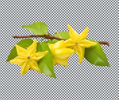 Premium Psd Fresh Carambola Star Fruit Isolated On Transparent Background