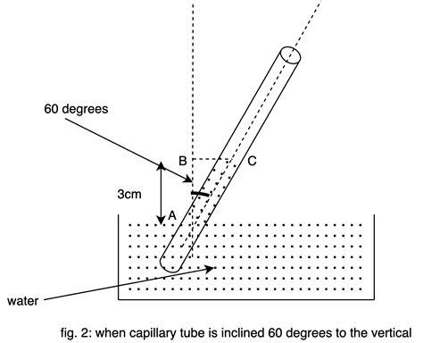 When A Capillary Tube Is Immersed Vertically In Water Class Physics